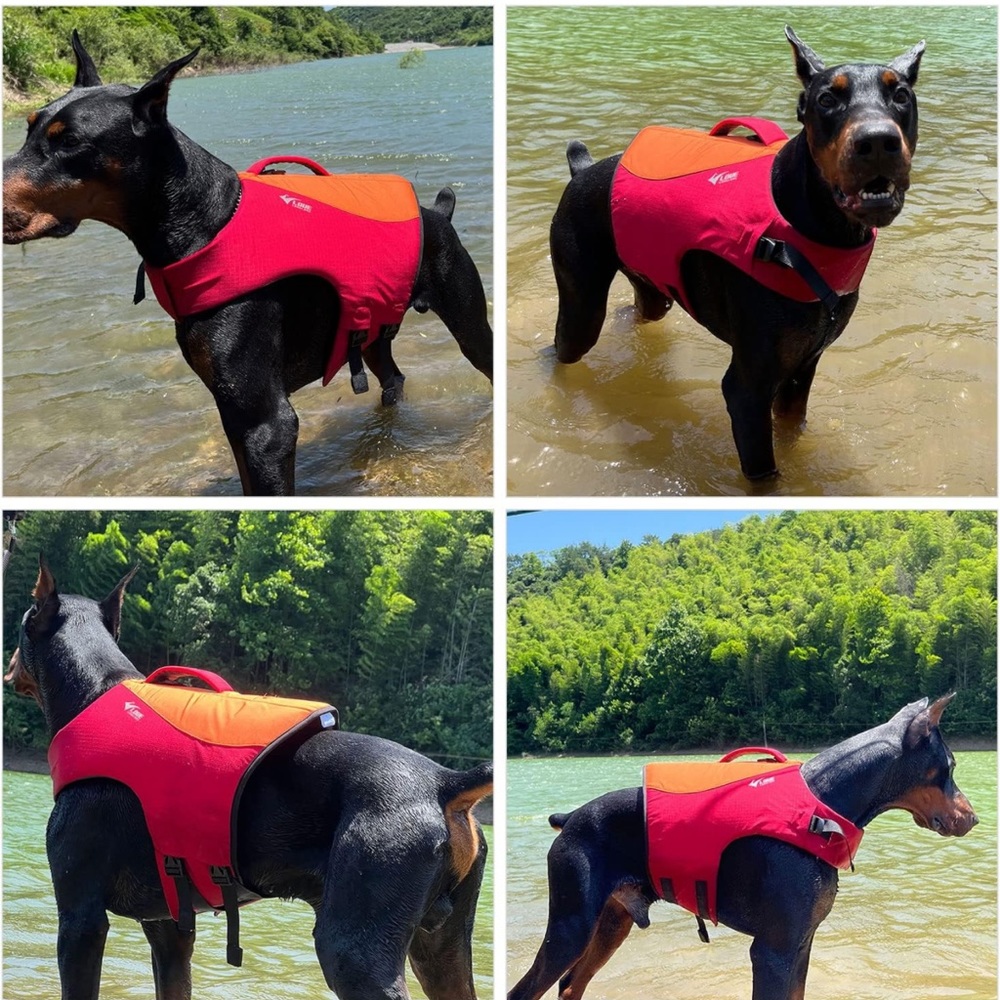 SALE!! M Dog life vest NIB. 6